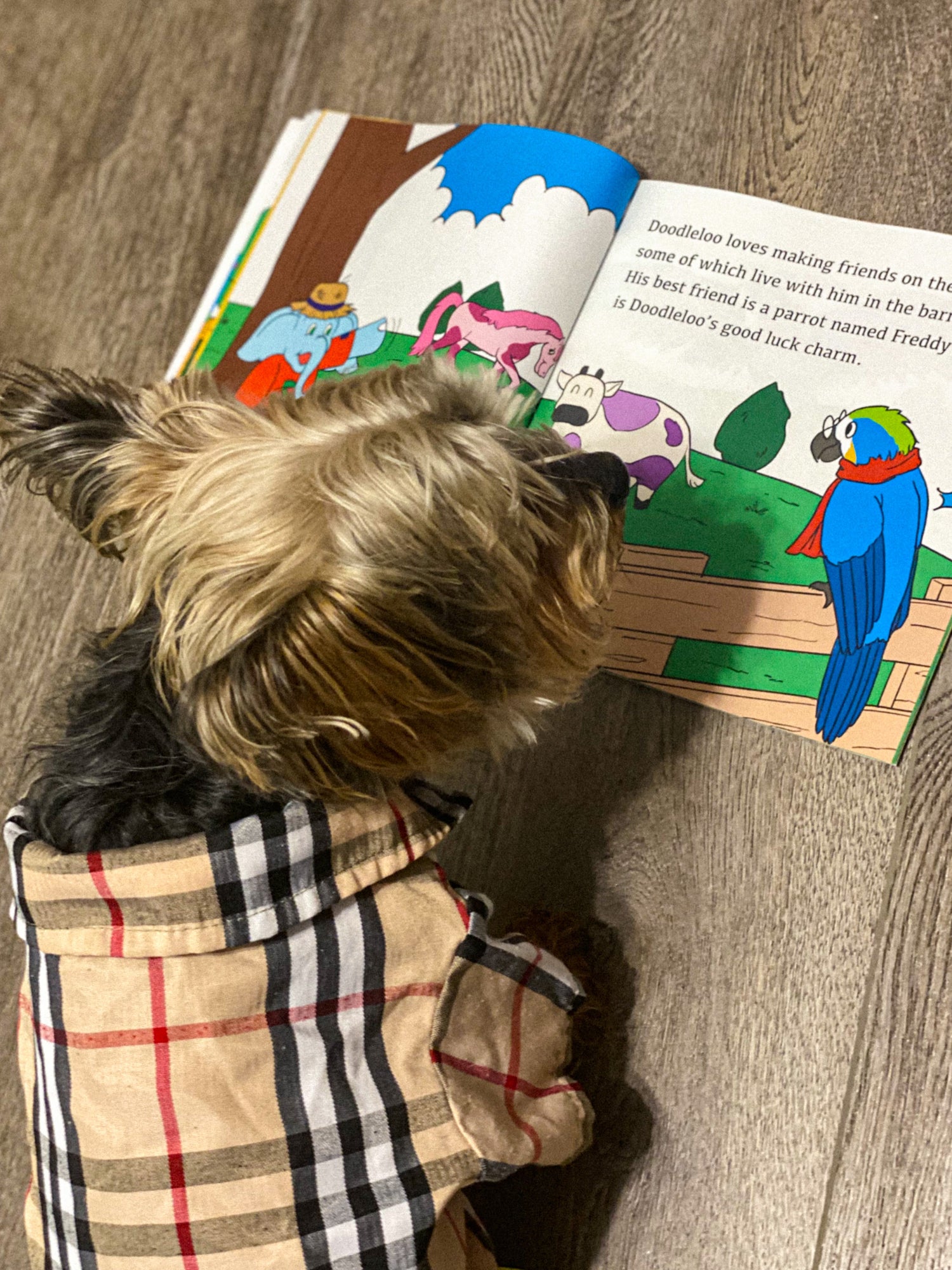 Doodleloo Books